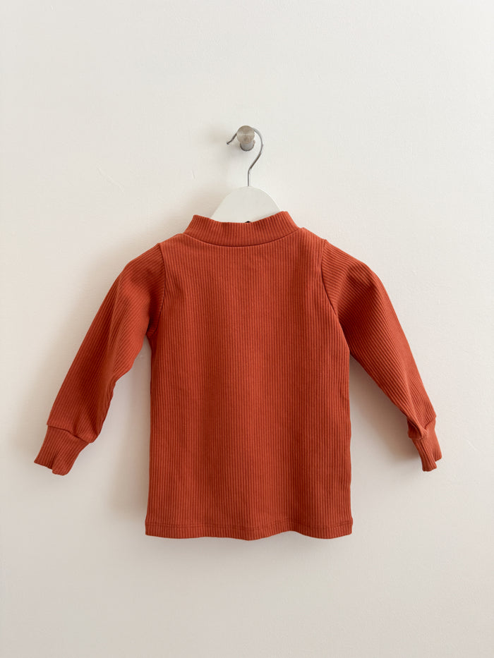PRELOVED AUBURN TURTLENECK TOP- 2-3 YEARS